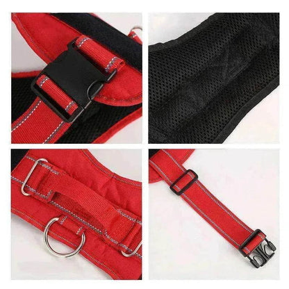 High Quality Personalization Of Pet Chest Strap / leash
