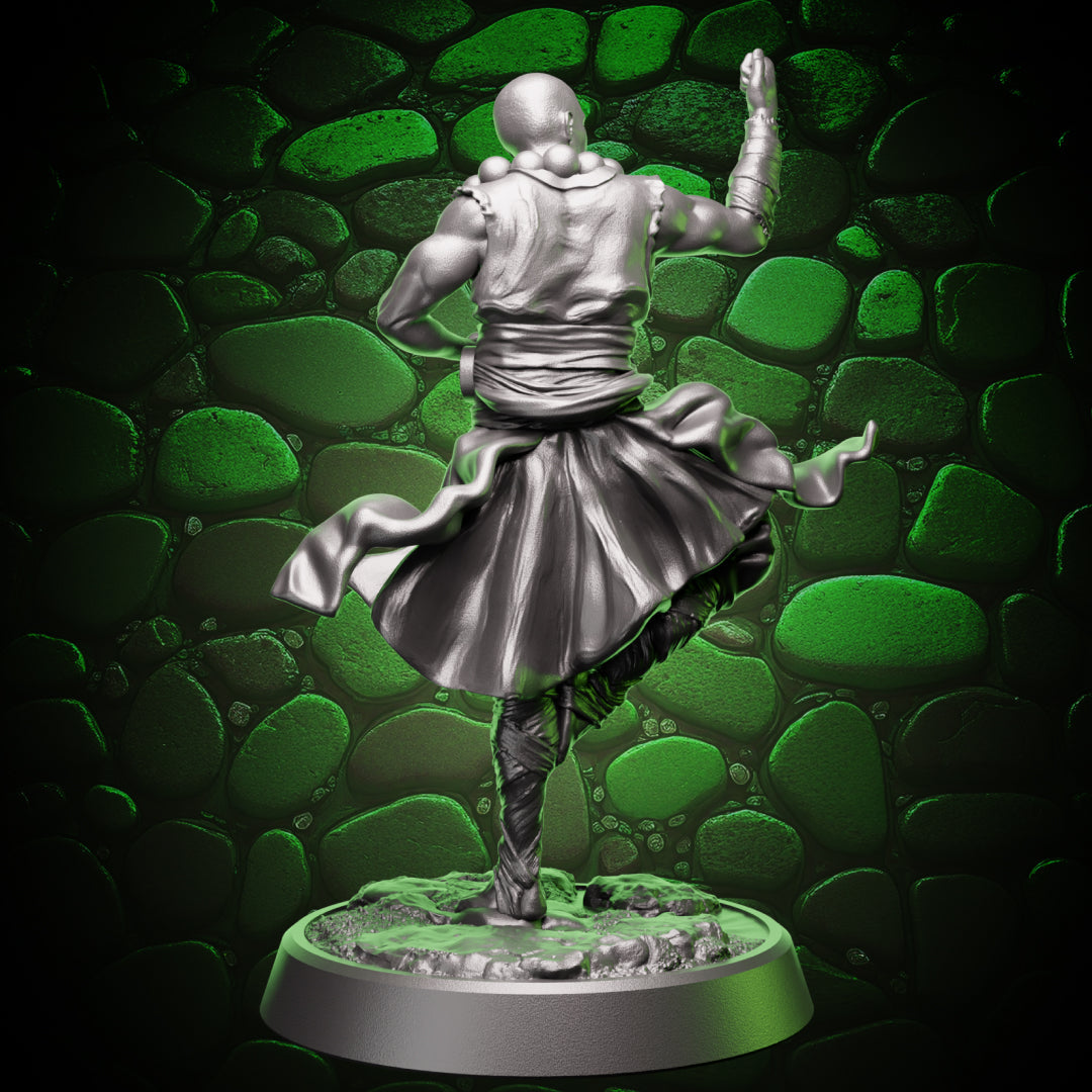 Human Monk - Balance | 5e