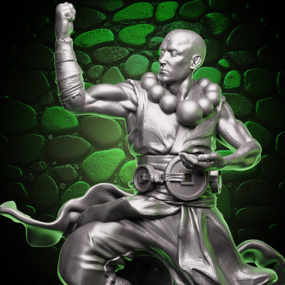 Human Monk - Balance | 5e