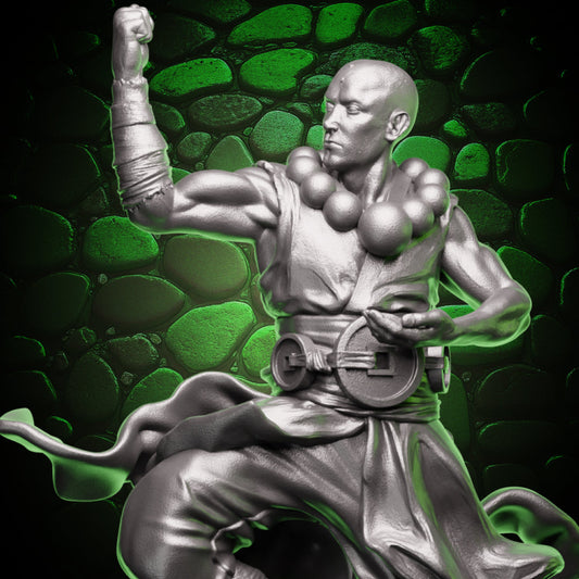 Human Monk - Balance | 5e