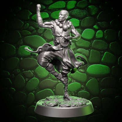 Human Monk - Balance | 5e