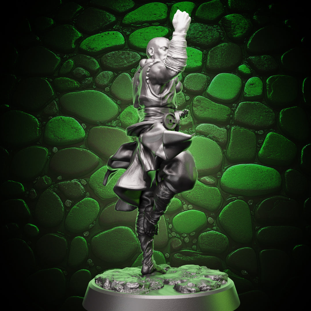 Human Monk - Balance | 5e