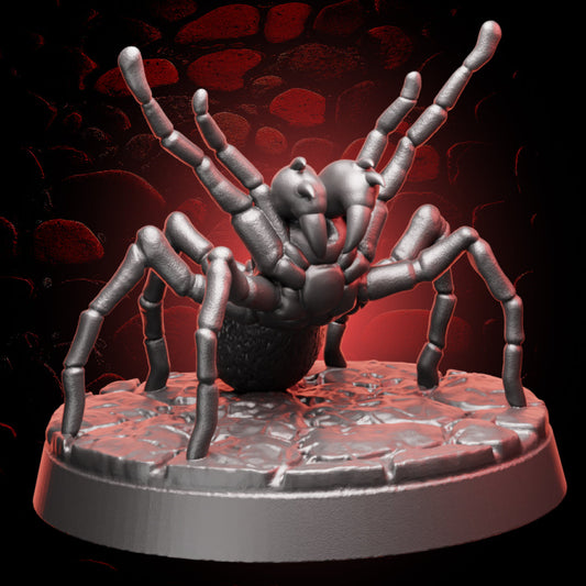Araignée-chasseuse | 5e