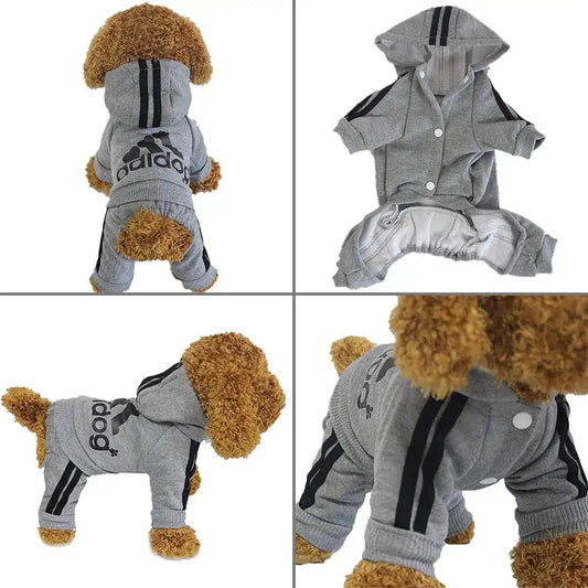 Ensemble pantalon et sweat à capuche pour chien | Ensemble de vêtements Adidog pour chien