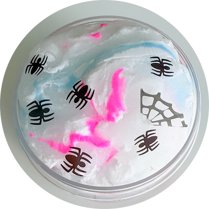spider web
