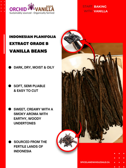 Indonesian Vanilla Beans (Sumatra) Planifolia Extract Grade-B <br>For Extract Making<BR>By Count
