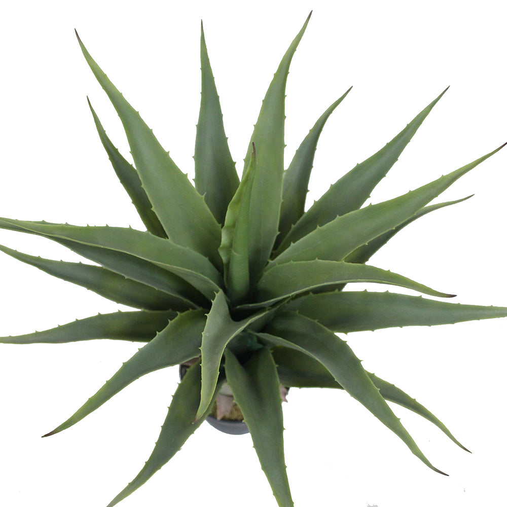 Tunja Artificial Century Potted Plant (Multiple Sizes)