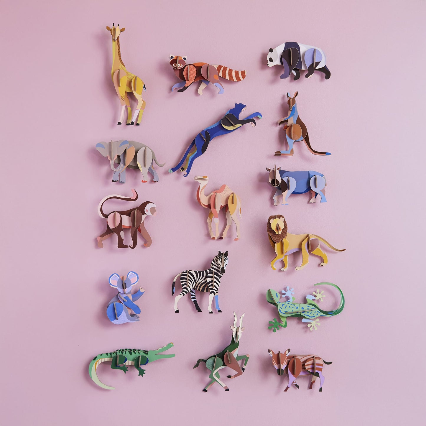 Animal sauvage - Koala