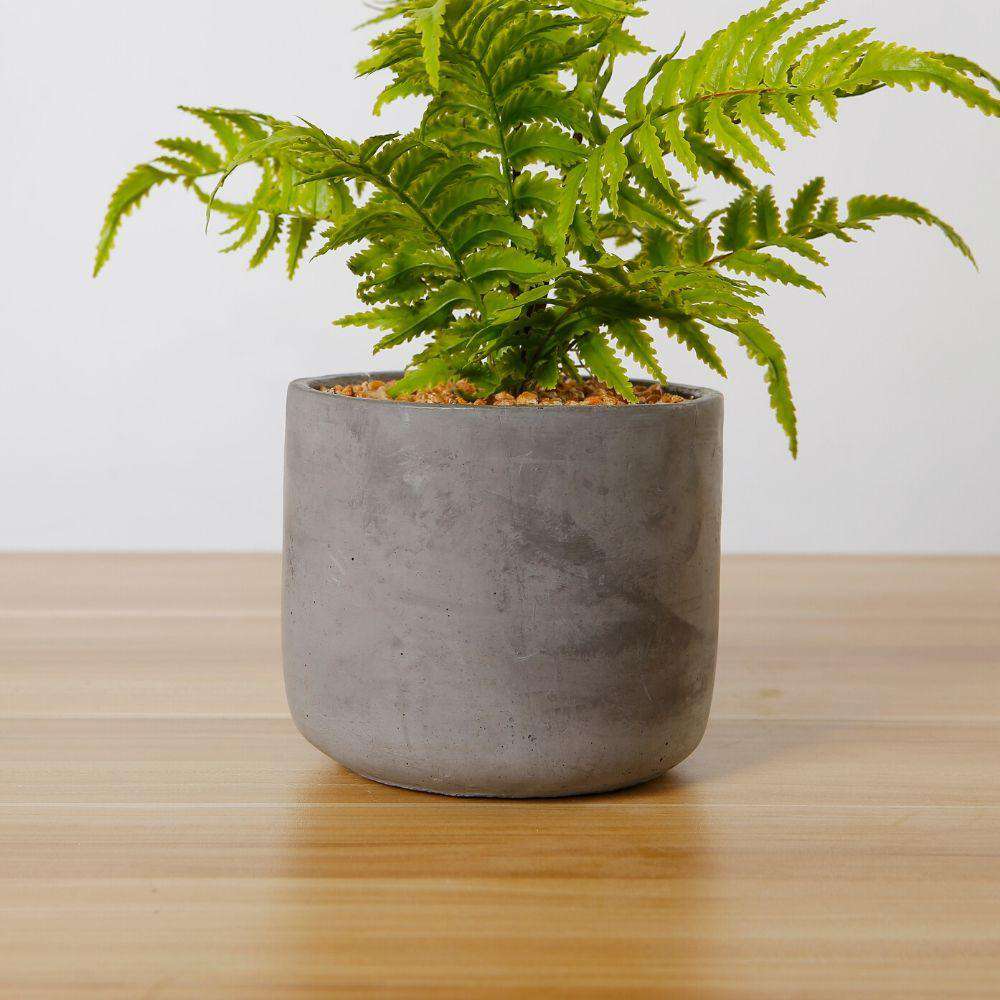 Kuta Potted Faux Fern