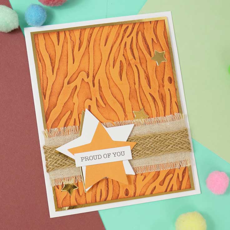 Moonstone Embossing Folders - Tiger Stripes