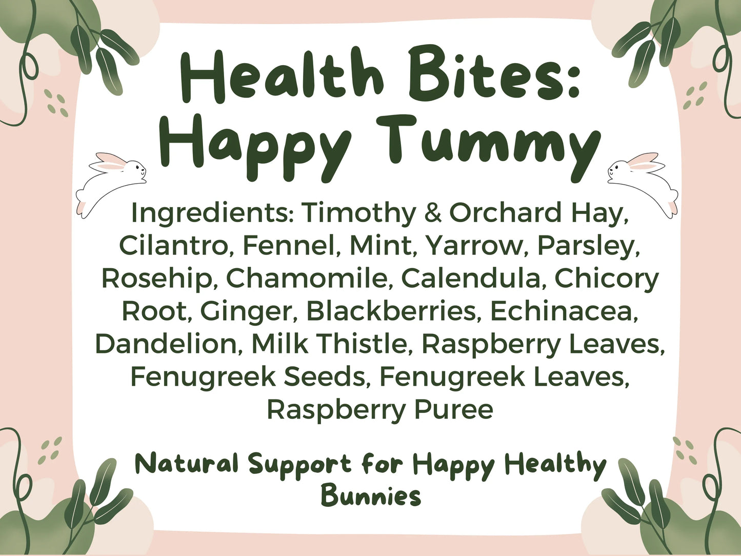 Health Bites: Happy Tummy