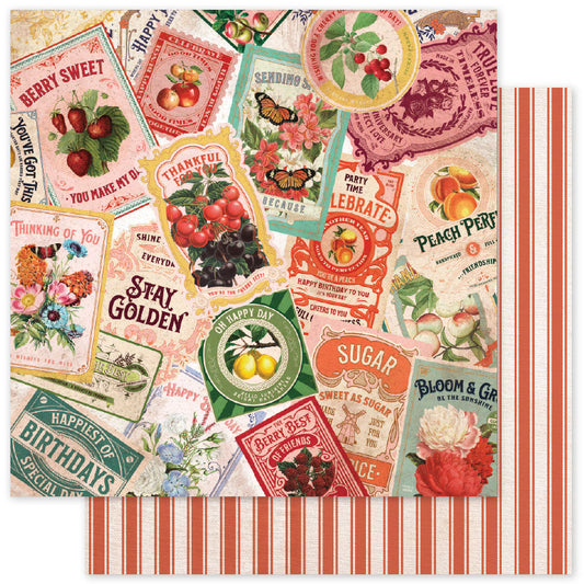 Meadowbrook Farm Basics E 12 x 12 Paper (12 pc Bulk Pack) 35058