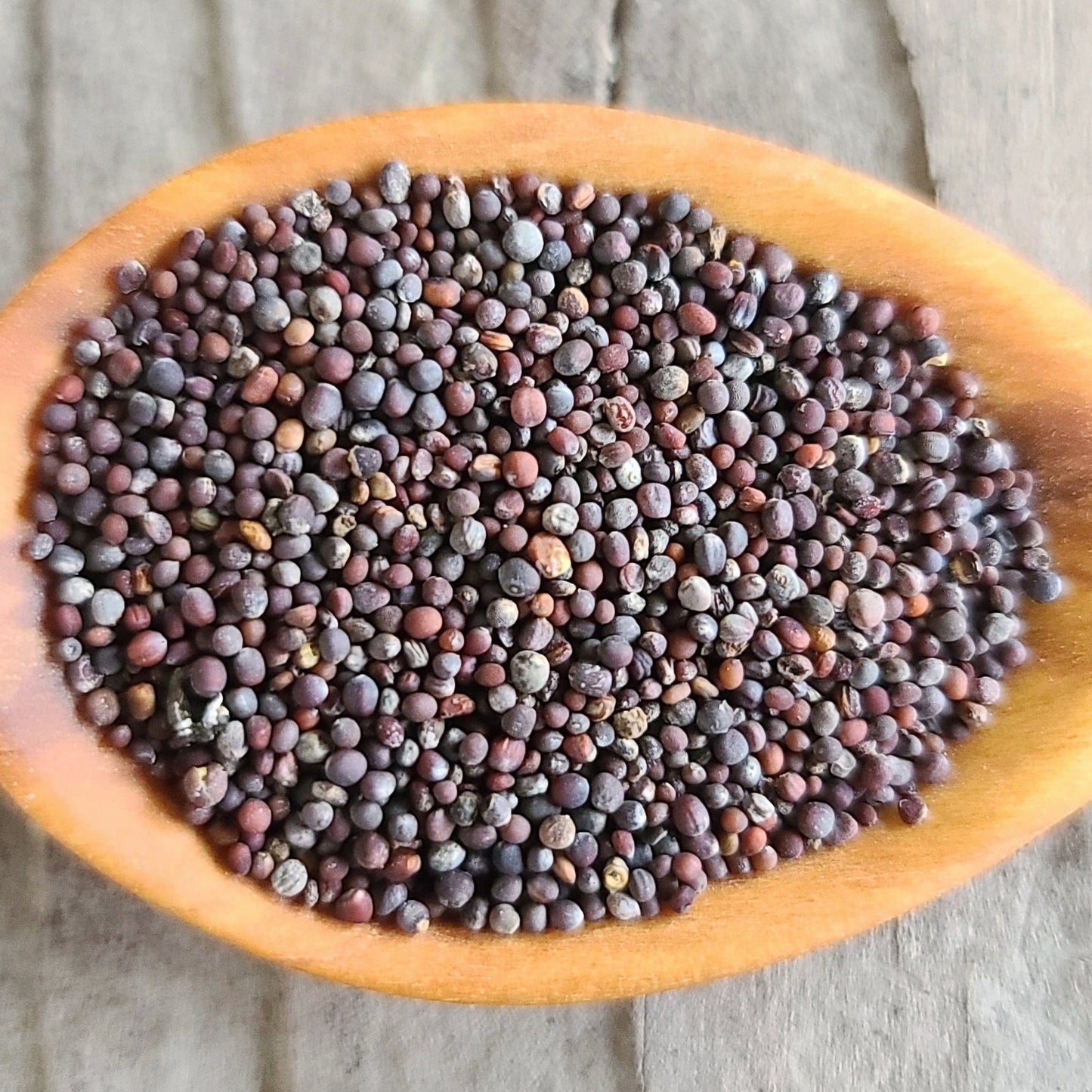 Mesclun Mix