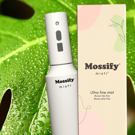 Le brumisateur Original Mossify™