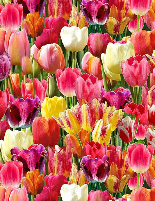 Timeless Treasure- Tulips- Nature-C6711-Bright