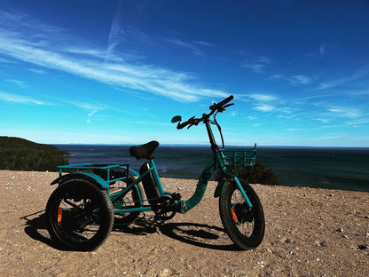 NEW-TRIKE 1.0
