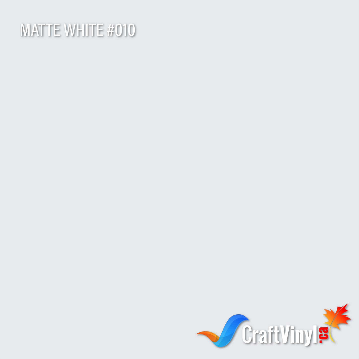 Oracal 651 Blanc Brillant #010