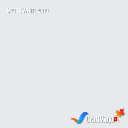 Oracal 651 Blanc Brillant #010