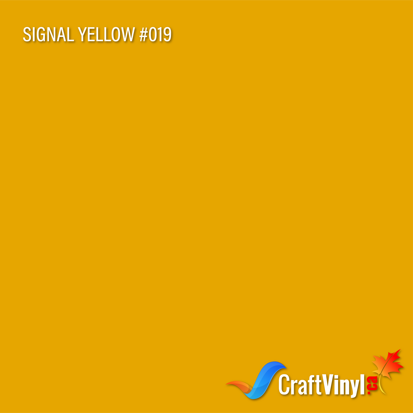 Oracal 651 Glossy Signal Yellow #019
