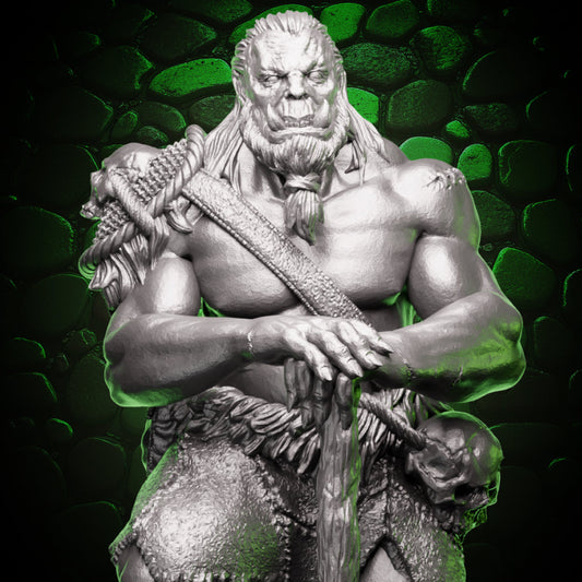 Guerrier orc - Hache | 5e