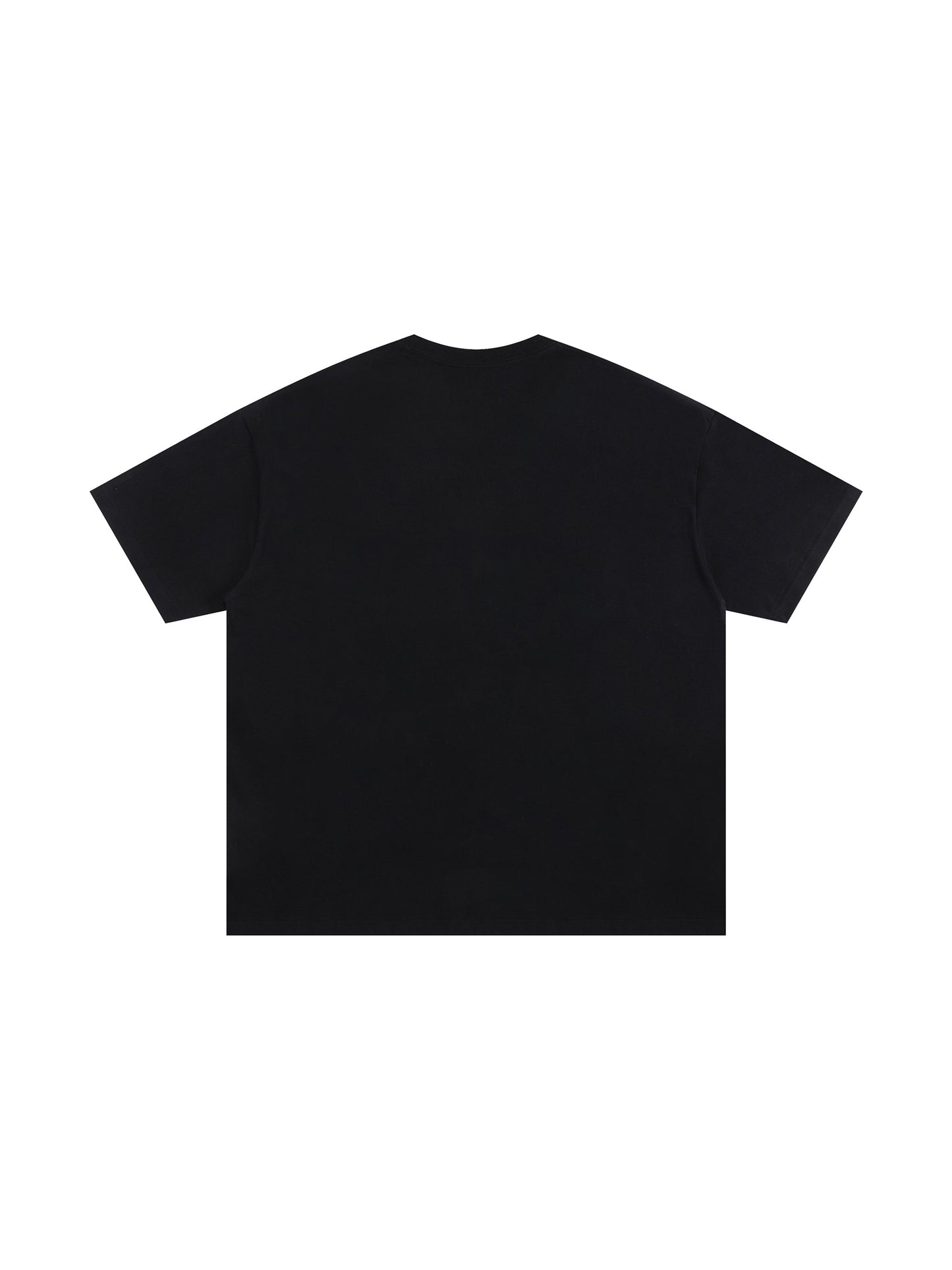 LEBRON JAMES Graphic T-Shirt