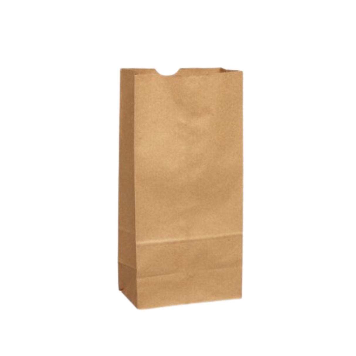 Sacs de vente au détail en papier brun d'une capacité de 5 lb (paquet de 500)
