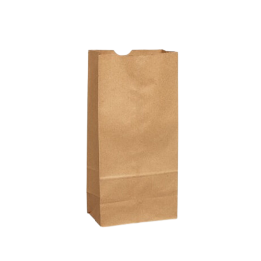 5 lb Capacity Brown Paper Retail Bags (500-Count)