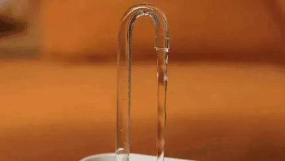 Pet Water Dispenser & Water Filter with a Fountain