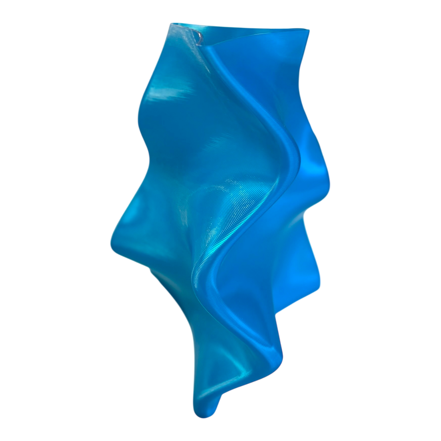 VASE. BULL KELP.
