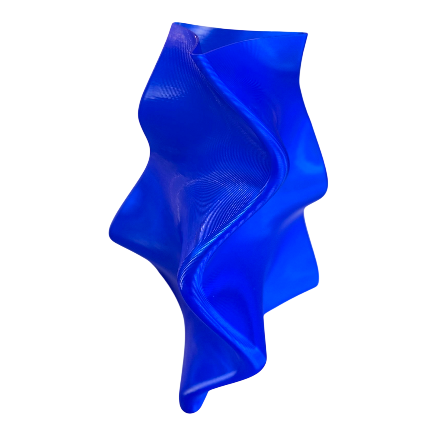VASE. BULL KELP.