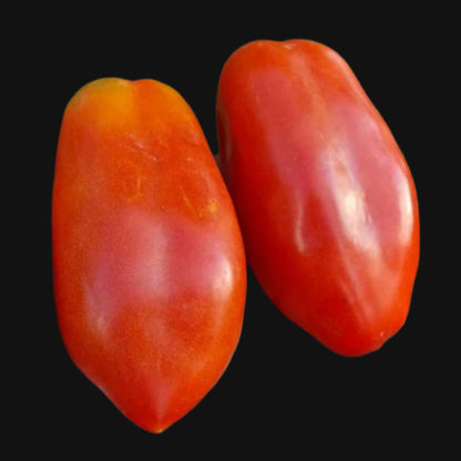 Pompeii Sauce Tomato