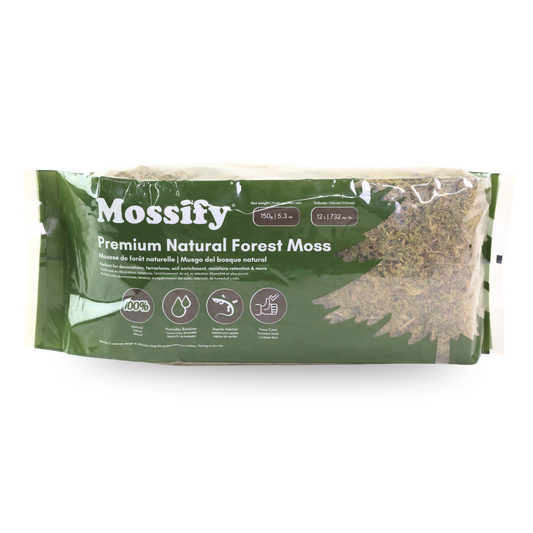 Mousse naturelle de forêt de première qualité