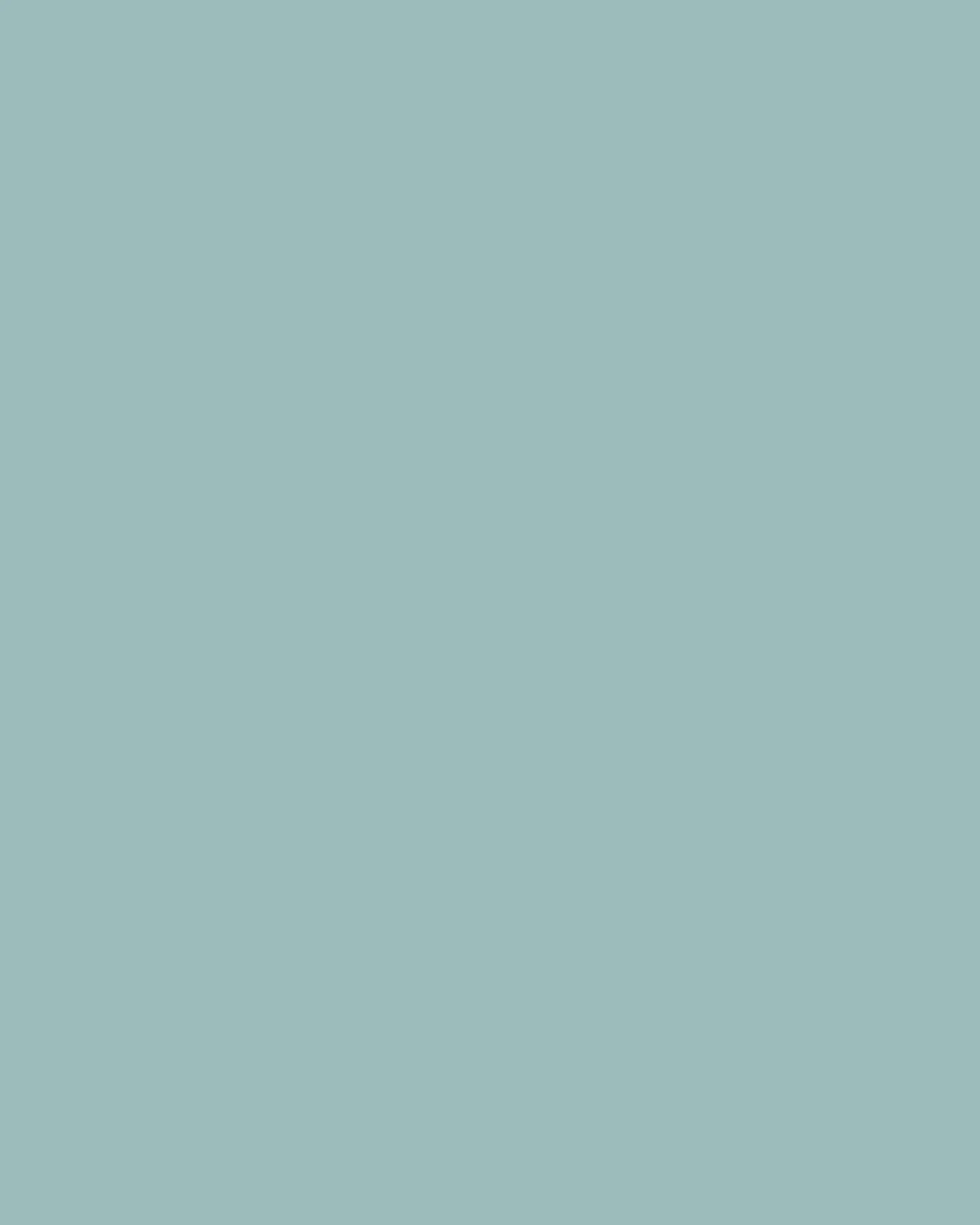 The Paint Factory - Rivulet