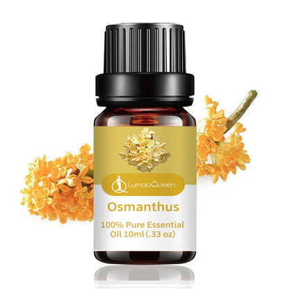 Huile essentielle de bougie d'aromathérapie 10 ml, saveur de fruit naturel, huile essentielle végétale, bougie de savon faite à la main, essence de vanille