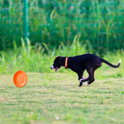 Durable pet dog training disc for puppy and adult dog training, lightweight and easy-to-hang training toy, essential pet supplies