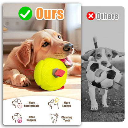 Jouet pour chien - Flotte dans l'eau - Idéal pour le jeu interactif - Fabriqué en mousse durable - Convient aux grands chiens - Grande taille - 15 cm de diamètre - 1 pièce