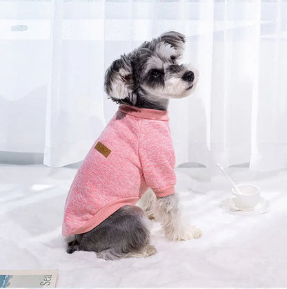 Vêtements d'hiver pour petits chiens, manteau chaud pour chihuahua, schnauzer, carlin, pulls, vêtements décontractés pour chiens et chats, accessoires pour animaux de compagnie