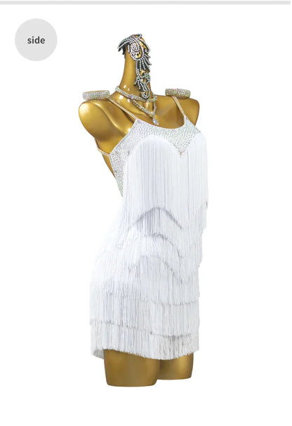 Nouvelle robe de danse latine pour femmes 2026, tenue d'entraînement de danse de salon, costume de bal féminin, jupe courte sexy pour salsa, jupe adulte, tenue de sport
