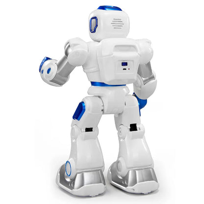 Application Control 2.4GHz, Dual Mode Programming, Demo, RC Robot, Walk/Slide Switch, Touch Sensing, Voice Recording, Singing, Dancing, Puzzle, RC Toys