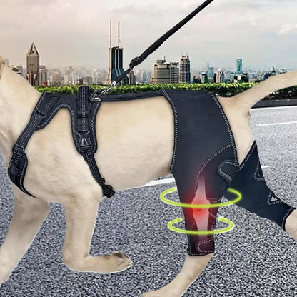 Orthèse orthopédique pour chiens et animaux de compagnie, attelle de soutien orthopédique pour les hanches, Support de jambe réglable pour garder les articulations des animaux au chaud et Stable