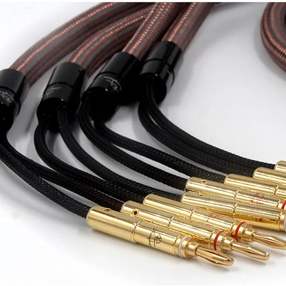 Professional OCC Speaker Lines - Accuphase Anniversary 4x4 Banana Plugs for Hi-Res Systems