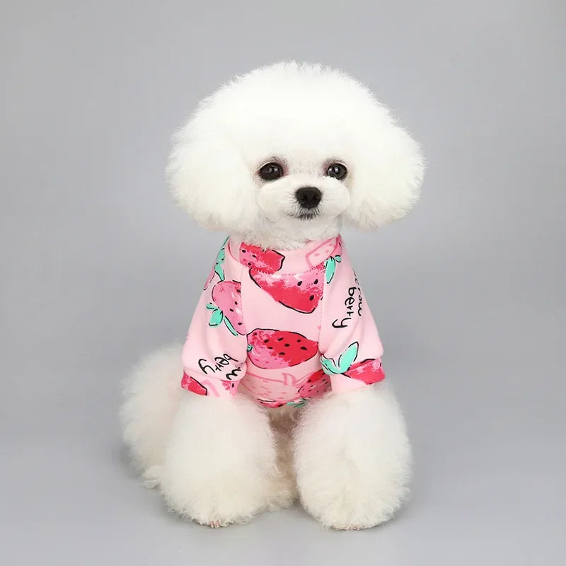 Chihuahua Chien Sweat-shirt Chiot Chat Pull Chiens Petit Chien Sweat à Capuche Manteau Hiver Chaud Vêtements pour Animaux de Compagnie pour Bouledogue