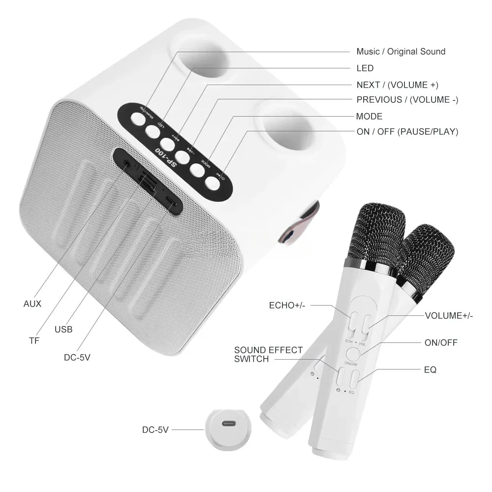 Best-Selling Karaoke Speaker Machine with Two Wireless Microphones & LED Screen，Minimum Order Quantity 2 Pieces