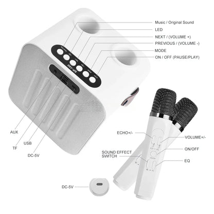Best-Selling Karaoke Speaker Machine with Two Wireless Microphones & LED Screen，Minimum Order Quantity 2 Pieces