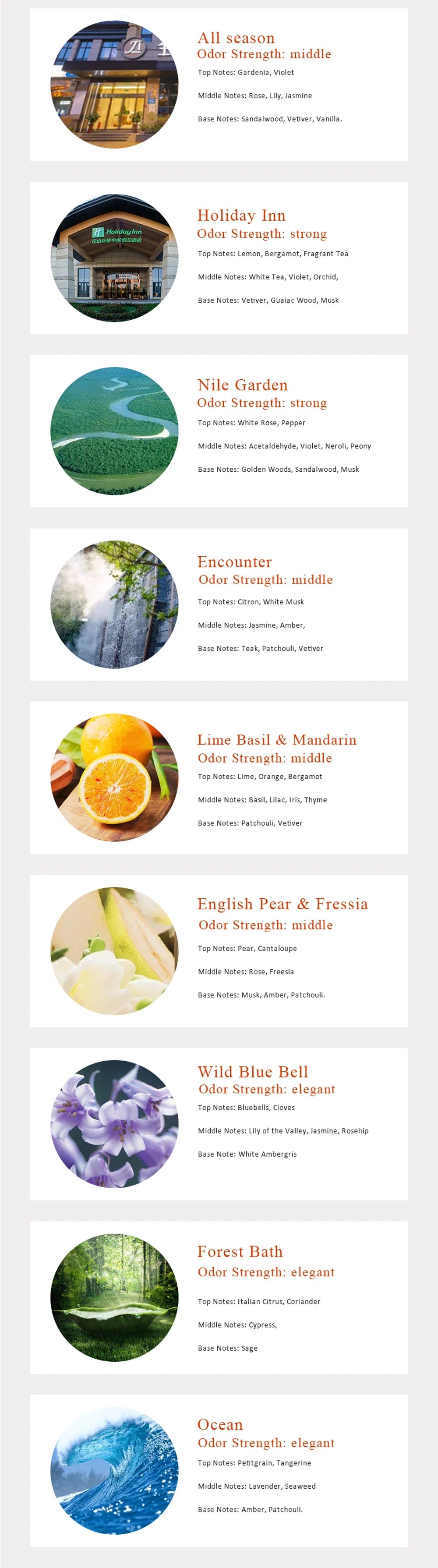 Série d'hôtels Huile Aromatique Parfum d'Ambiance Huile Aromatique pour Savons Fabrication de Bougies Huile Parfumée 100ml Diffuseur de Parfum d'Ambiance