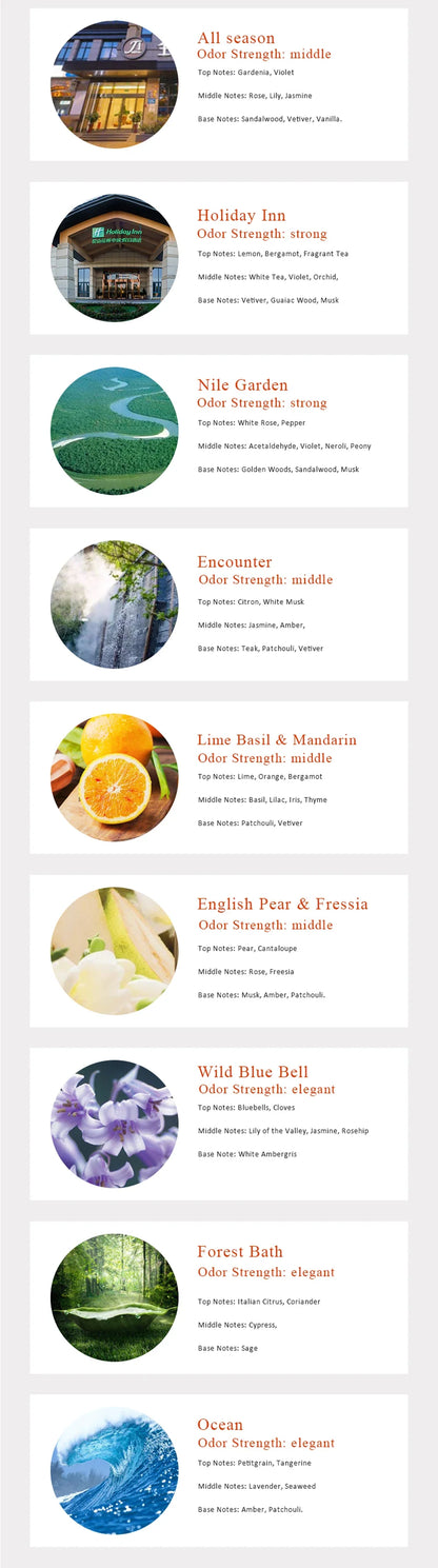 Série d'hôtels Huile Aromatique Parfum d'Ambiance Huile Aromatique pour Savons Fabrication de Bougies Huile Parfumée 100ml Diffuseur de Parfum d'Ambiance