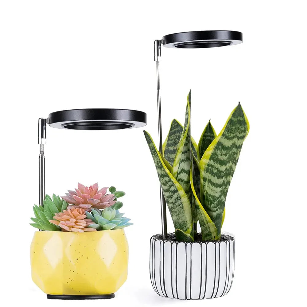 LED plant grow light is round, red and blue light combination, USB telescopic tube inserted into the soil, dimming and color change