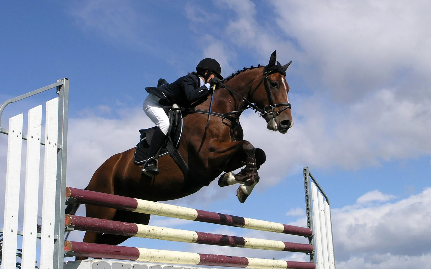 Equestrian Helmet - CE Approved Multi-Density EPS Core & Quick-Dry Padding for Competitive Riding & Leisure Trail Use