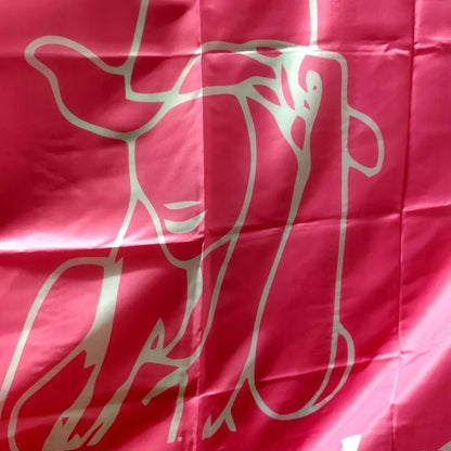 Drapeau western cowgirl - Bannière humoristique en polyester 90 x 150 cm - Décoration tendance pour dortoir universitaire pour filles, décoration murale