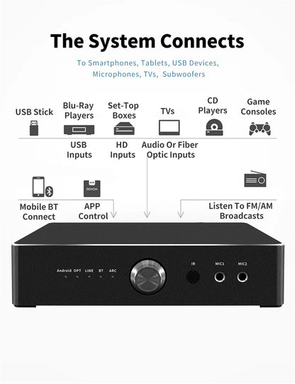 600W Home Amplifier Audio Out Put Karaoke 4ohm Brand New Amplifier with 2 Microphone Support Subwoofer